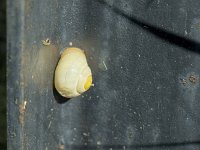 DSCF4763