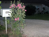 IMG 4873
