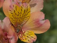 DSCF0088